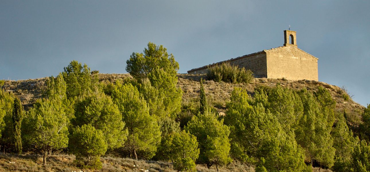 Ermita de Santa Ana - Biota