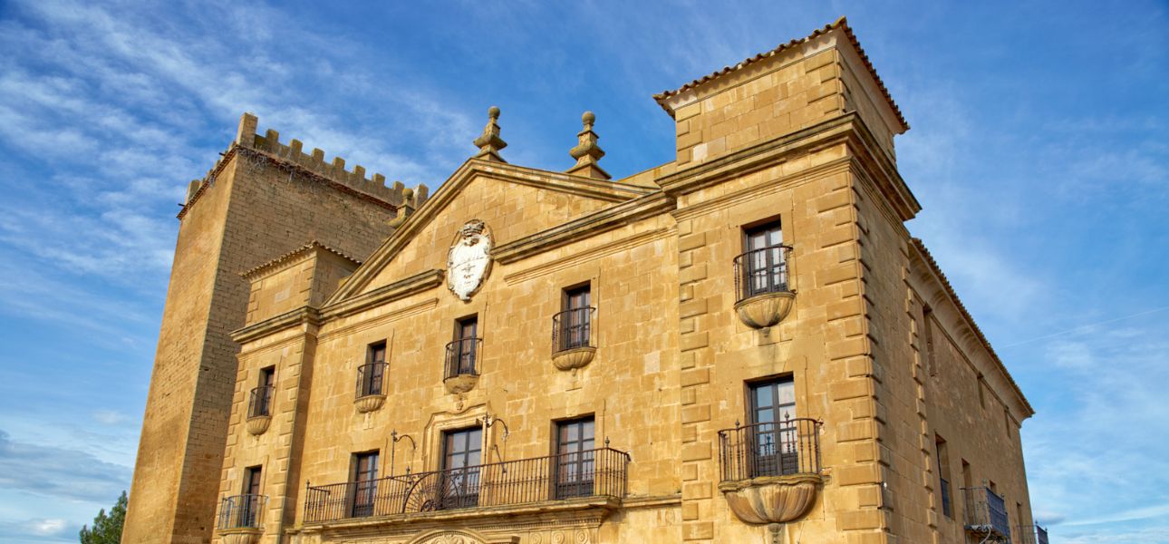 Palacio del Vizconde de Biota