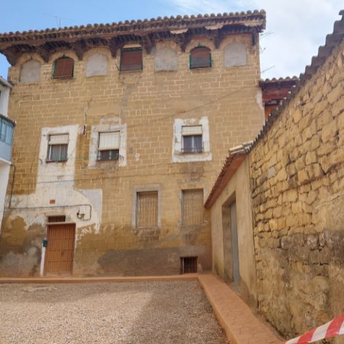 casa palacio de los condes de luna1