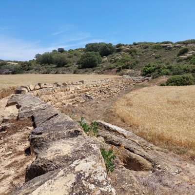 Presa de Cumbalmea (5)